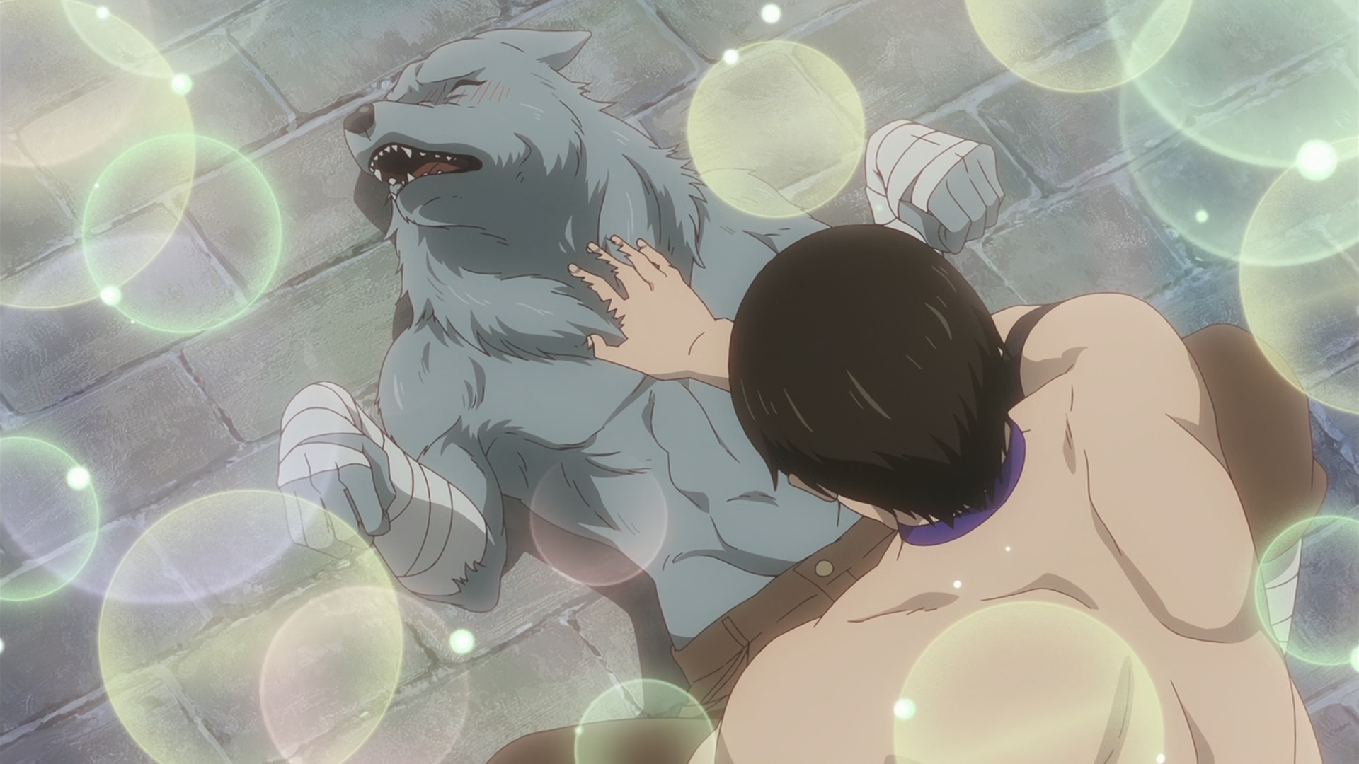 Hataage! Kemono Michi (Hakoniwa)